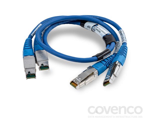 DS8000 0.6M Cable Set (x2 Cables)