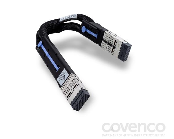 EX5 MAX5 To x3850 X5 QPI Cable