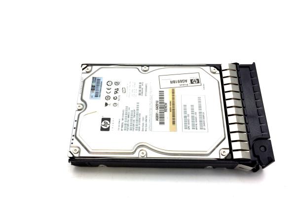 HP EVA M6412A 1TB FATA DRIVE