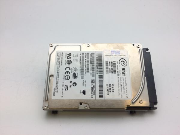 Express, IBM 73.4 GB Small-Form-Factor Non H / S Hard Disk Drive