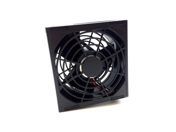 FAN ASS