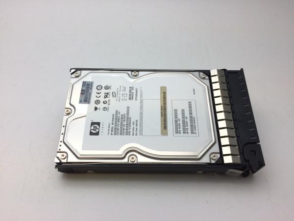 HP EVA M6412A 1TB FATA DRIVE
